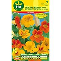 Los mejores  - SEMILLAS FLOR CAPUCHINA TREPADORA SOBRE
